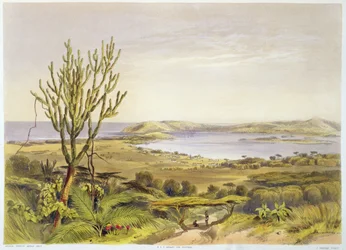 Durban, Port Natal, deska 28 z „The Kafirs Illustrated“, vyryto J. Needhamem, 1849